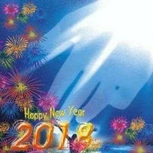 Meet your Posher, Cora